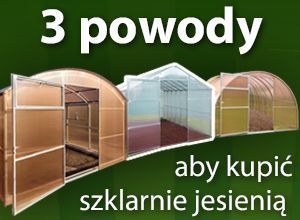 Dowiedz się, dlaczego mądrzy ogrodnicy przygotowują się do sezonu wiosennego od jesieni?