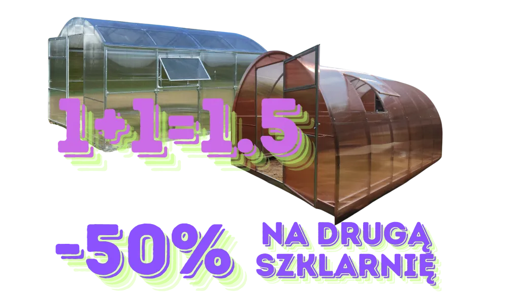 Проводник богов (3).png Проводник богов (3).png