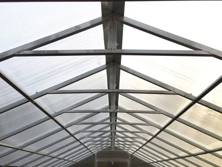 zdjęcie Szklarnia z POLIWĘGLANU Gracja profil stalowy ocynkowany 30x20mm ze sklepu maleszklarnie.pl